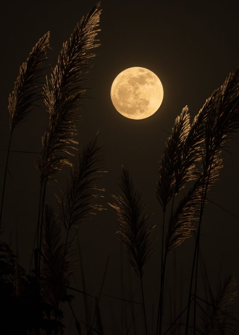 pleine lune bain de gong